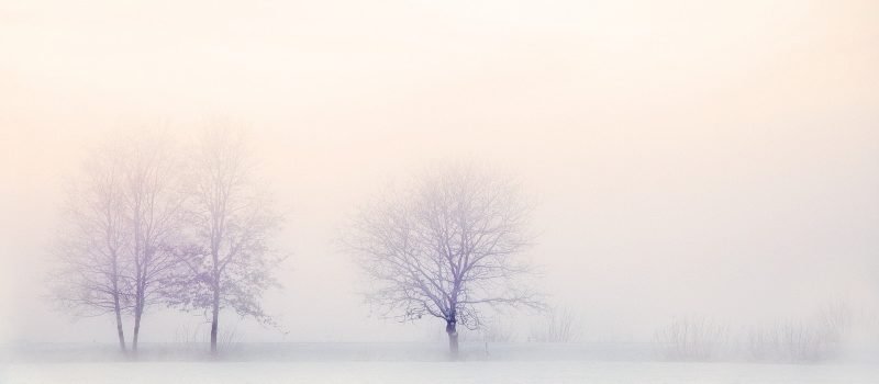 winter-landscape-2571788_1920